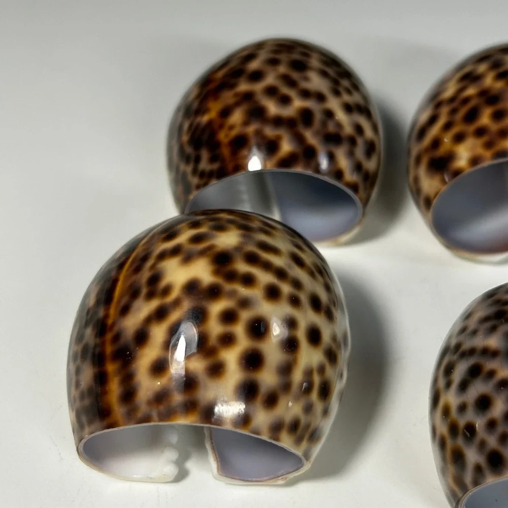 Vintage Tiger Cowrie Shell Napkin Rings Set of 6 Coastal Nautical Table Decor